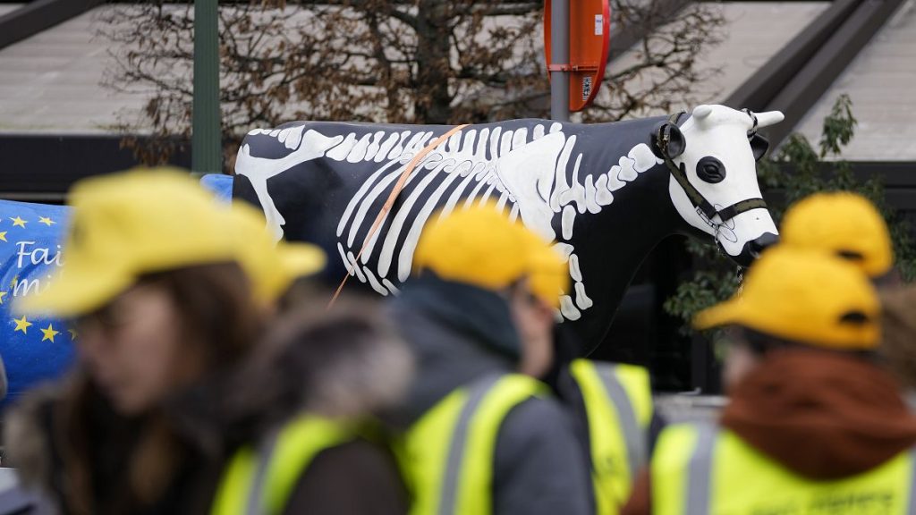 Farmers’ protests reach Brussels as discontent with EU’s green agenda grows