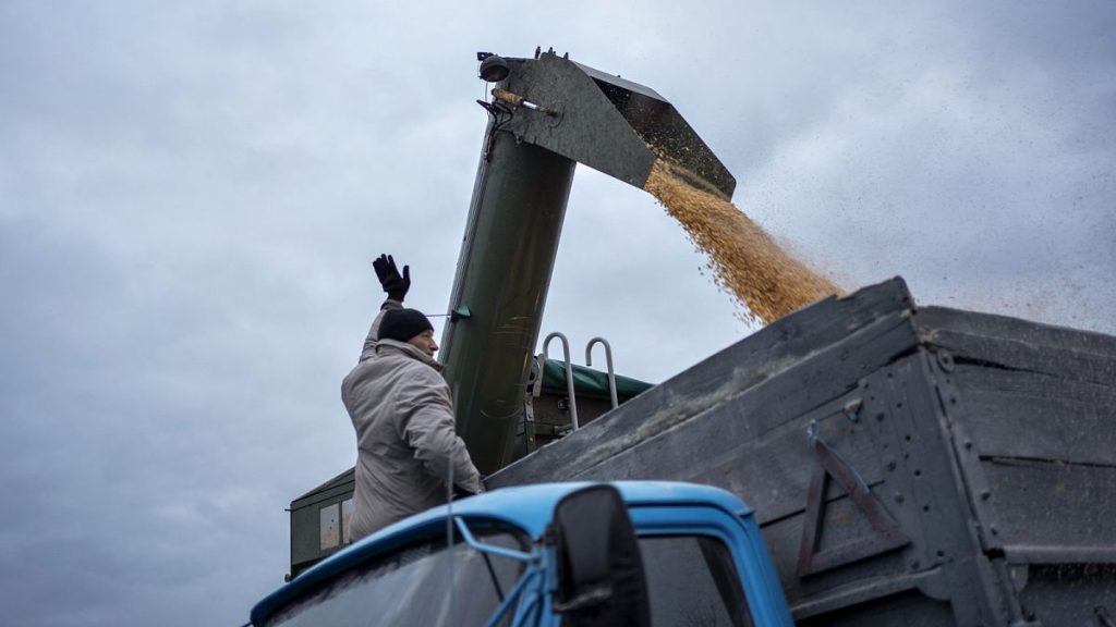 Brussels considers allowing restrictions on Ukrainian grain in case of market ‘disturbances’