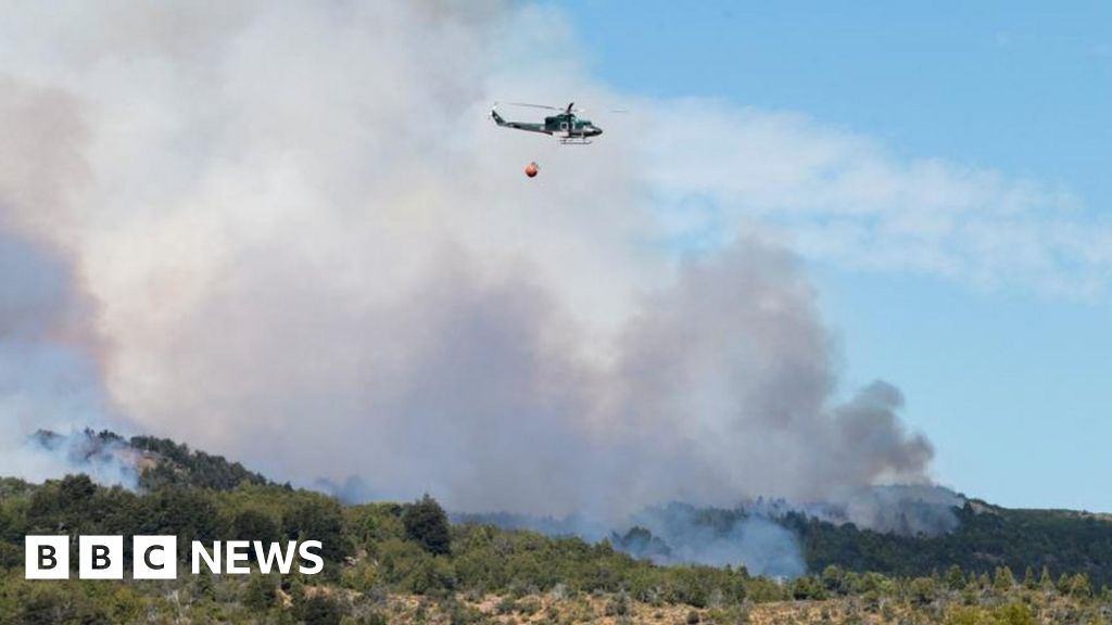 Los Alerces: Wildfire rages through national park in Argentina