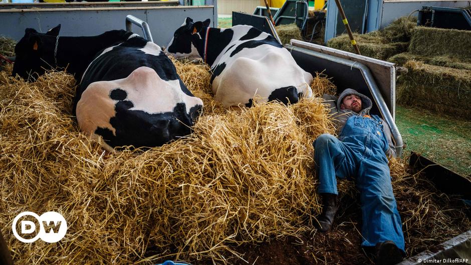 Why are French farmers so powerful? – DW – 02/26/2024