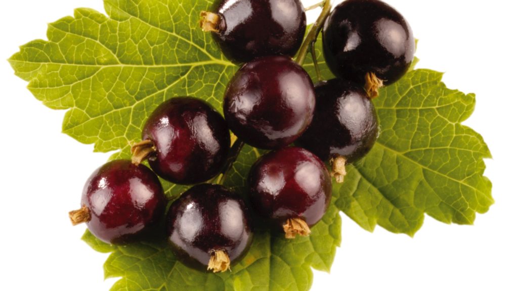 The common fruit that works like VIAGRA to the veg that will make your nails stronger – here’s the A-Z of your 5-a-day