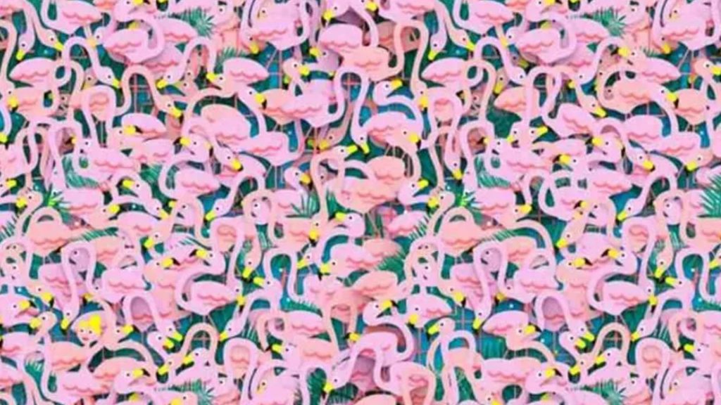 No one can count how many flamingos there are…but those with a high IQ can see the ballet dancer among them in 8 secs