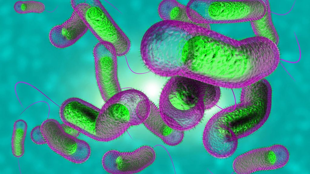 Tropical disease that ‘kills within hours’ threatens holiday hotspots as 41,000 cases recorded across 17 countries