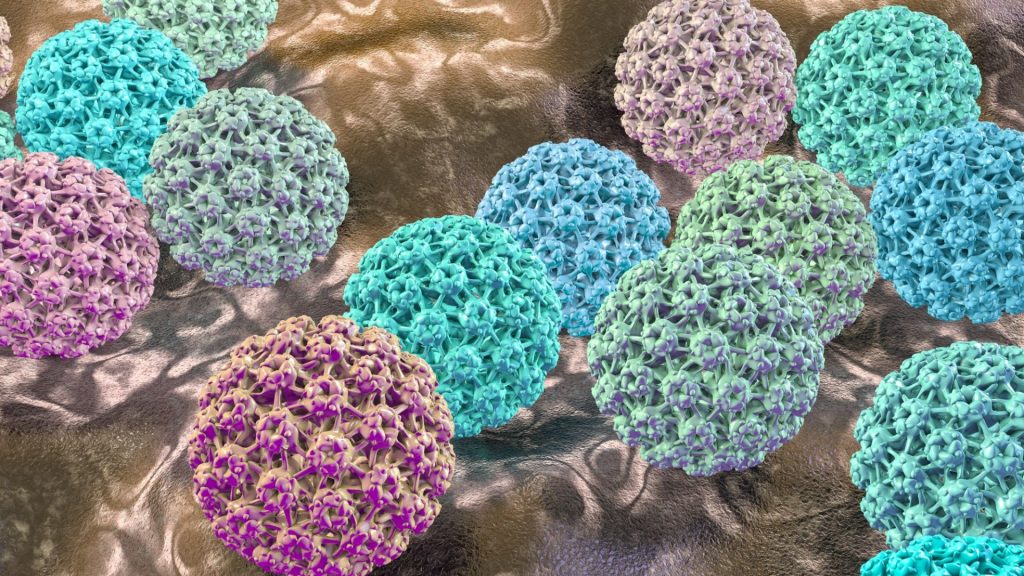 Women are ‘four times more likely to die of heart disease’ if they catch common virus, experts warn