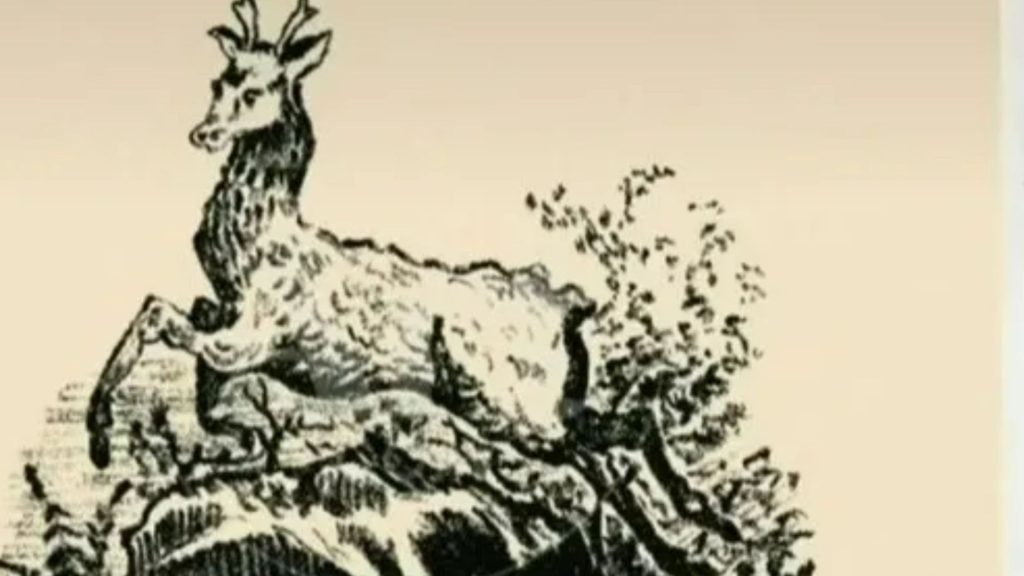 You have the eyes of a hawk if you can spot the dog hiding in this vintage optical illusion in 12 seconds