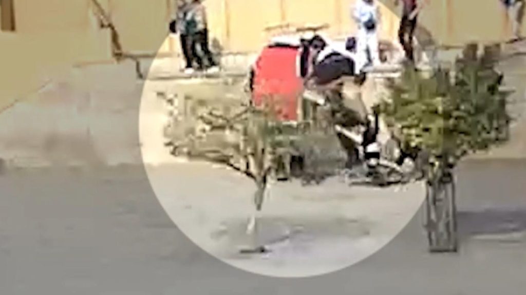 Tourist’s leg broken after elephant attack | World News