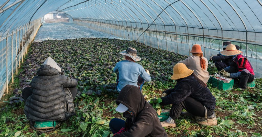 South Korea Is Desperate for Foreign Workers