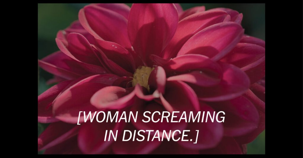 In ‘Oppenheimer’ and ‘The Zone of Interest,’ We Hear What We Are