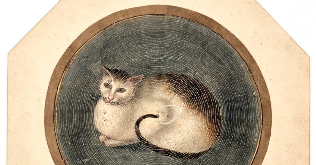 A Panorama of Design Products