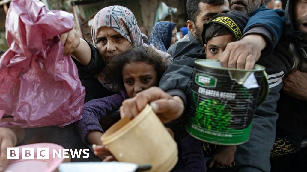 Entire Gaza population facing acute hunger – US