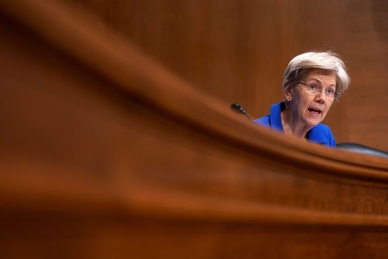 Elizabeth Warren Urges SEC to Investigate Tesla Over Board Independence