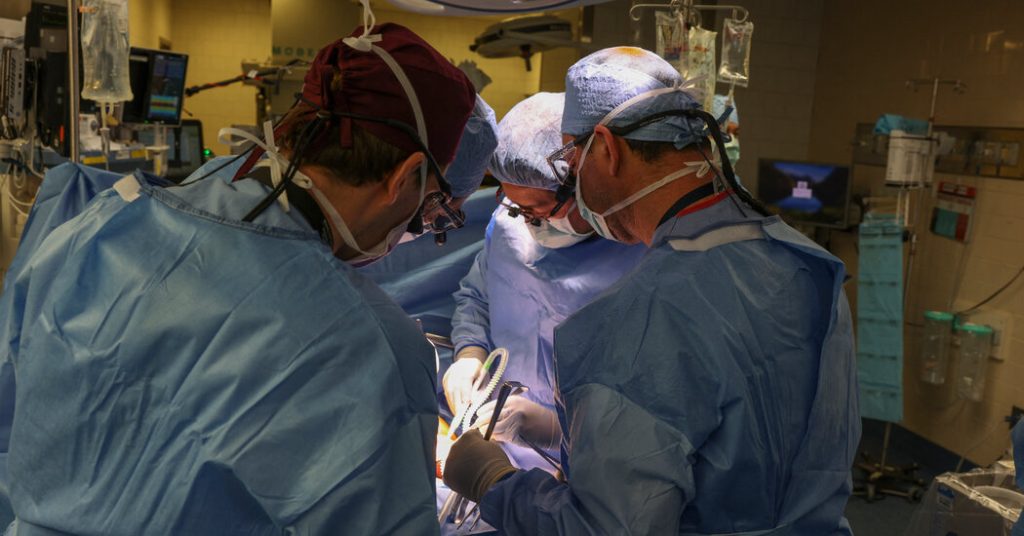 Surgeons Transplant Pig Kidney Into a Patient, a Medical Milestone