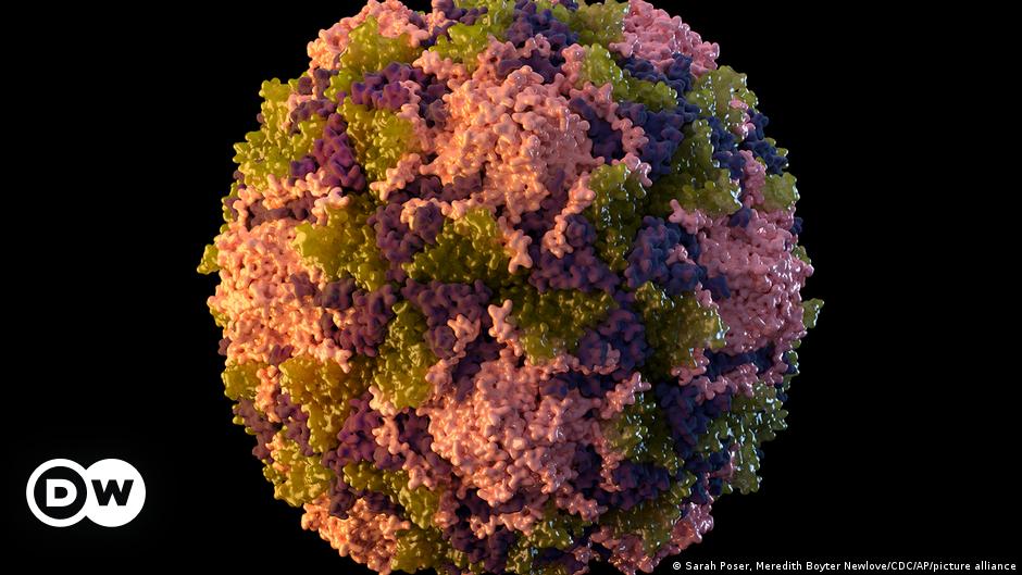 All you need to know about the viral disease – DW – 03/14/2024