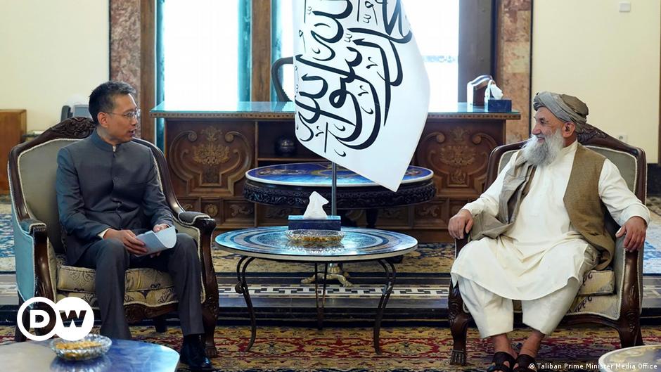 Afghanistan’s Taliban strive to expand regional links – DW – 03/12/2024