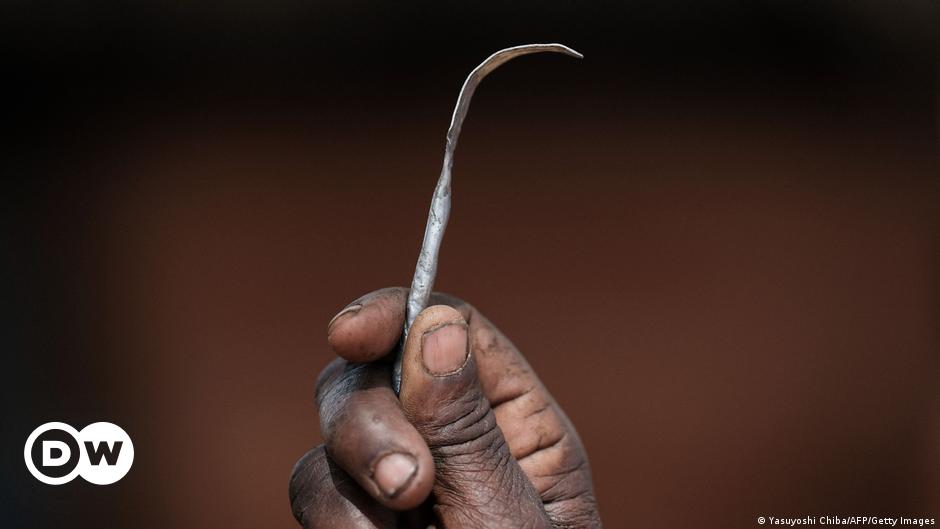 Gambia discusses bill to repeal FGM ban – DW – 03/07/2024