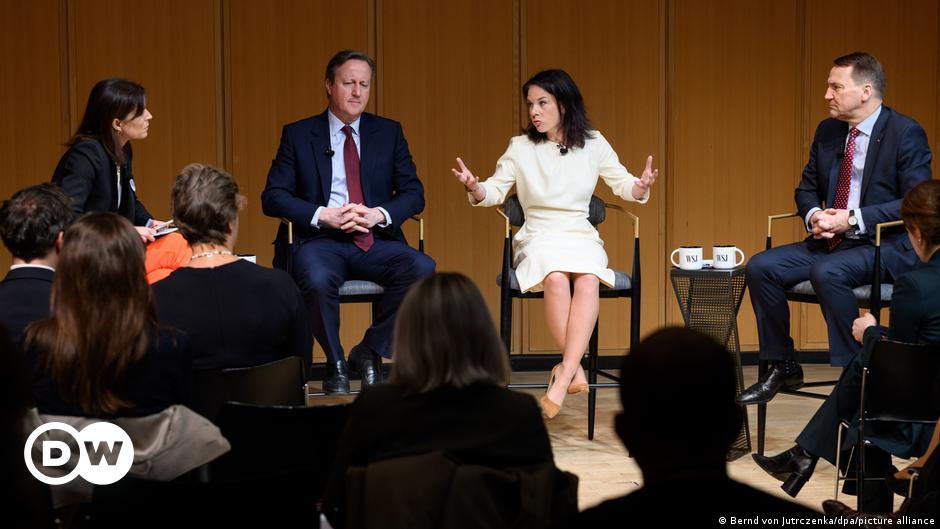 Baerbock and Cameron to meet in Berlin after Russian leak – DW – 03/07/2024