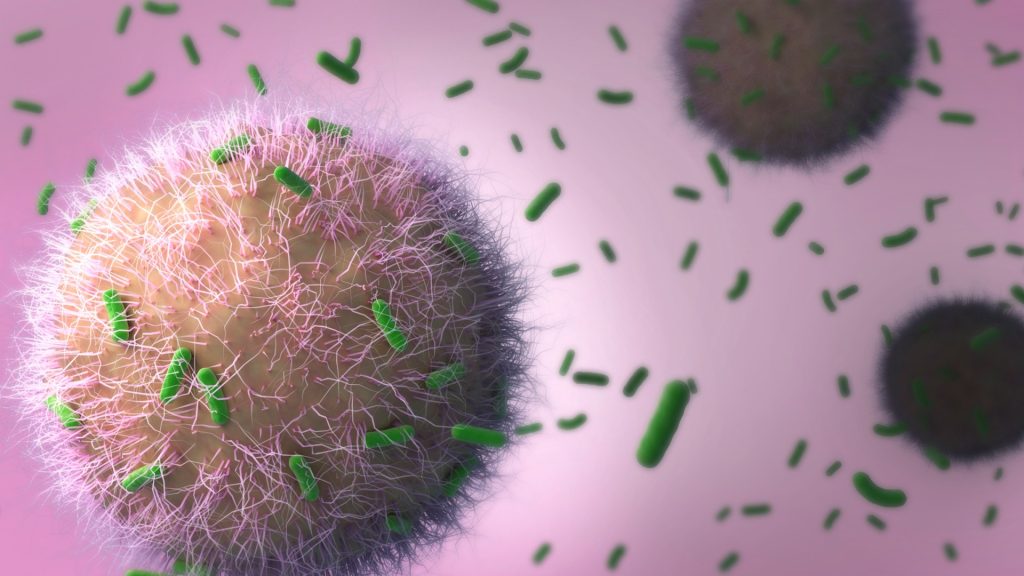 Map reveals ‘world’s deadliest infection’ hotspots as case of Victorian disease spread