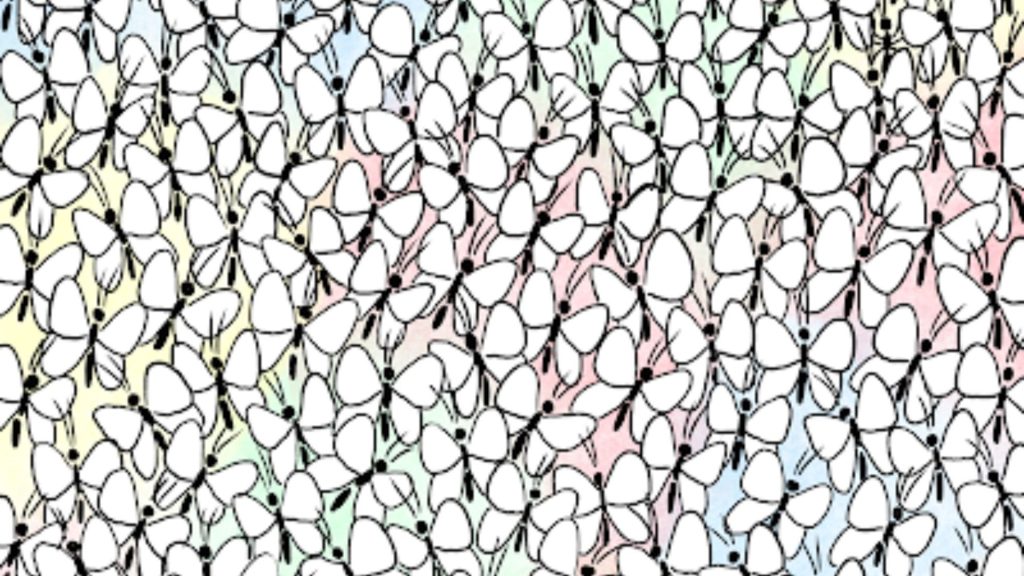 Everyone can see the pretty butterflies in this brainteaser but only those with 20/20 vision can spot the ant in 10 secs