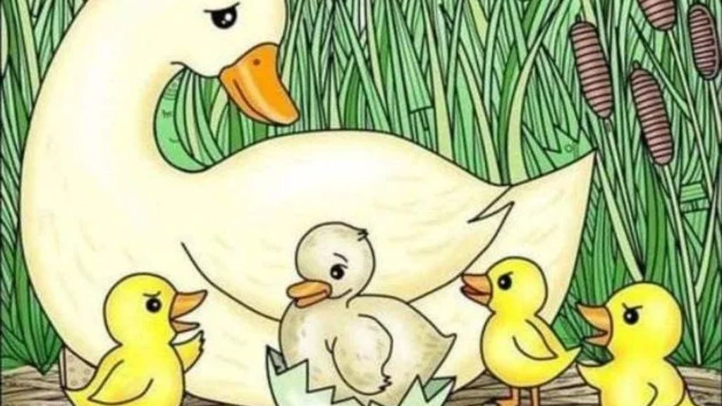 It’s easy to count the ducks but you need 20/20 vision to find the hidden needle among the reeds in under seven seconds