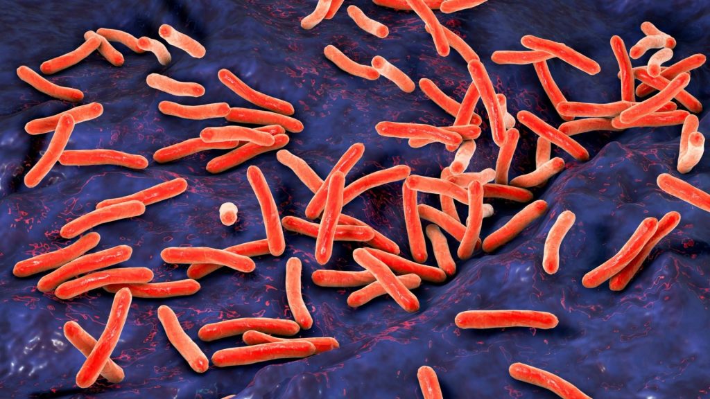 ‘World’s deadliest infection’ may be silently infecting Brits as symptom-less victims spread Victorian disease