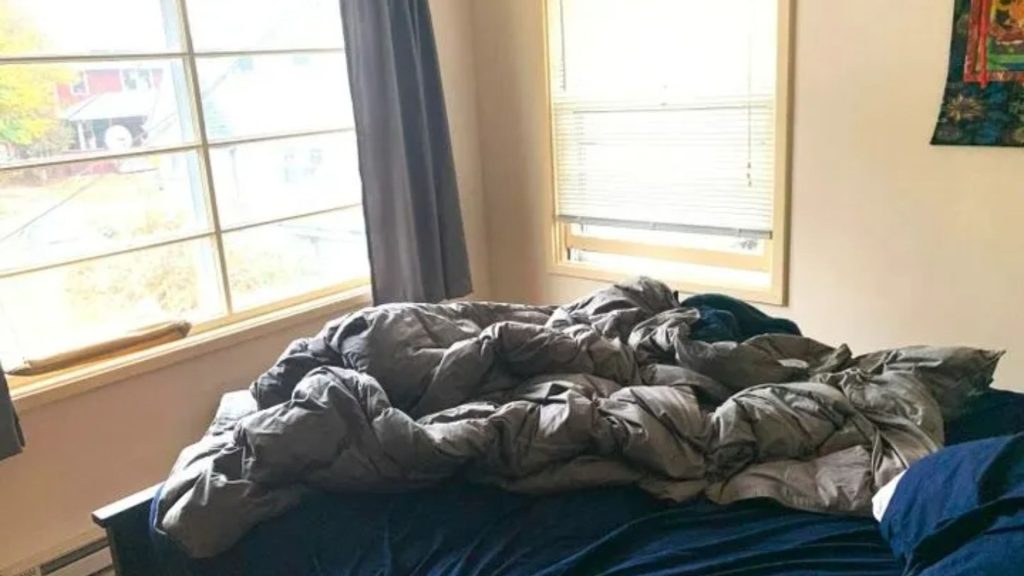 Everyone can see the messy bed – but you have 20/20 vision & high IQ if you can spot the cat in 8 seconds