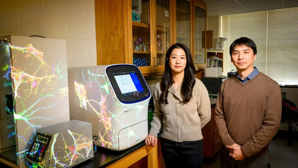 Scientists discover earliest yet sign of Alzheimer’s raising new hopes of preventing disease