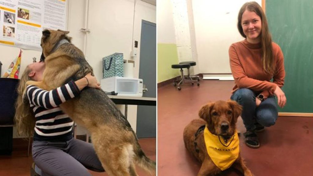 Dogs can tell if someone’s stressed based on breath | Science & Tech News