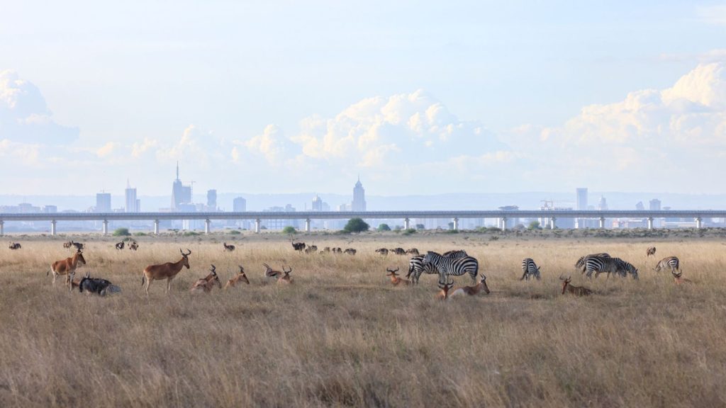 Kenya: Two killed after passenger plane heading to tourist resort collides with training aircraft | World News
