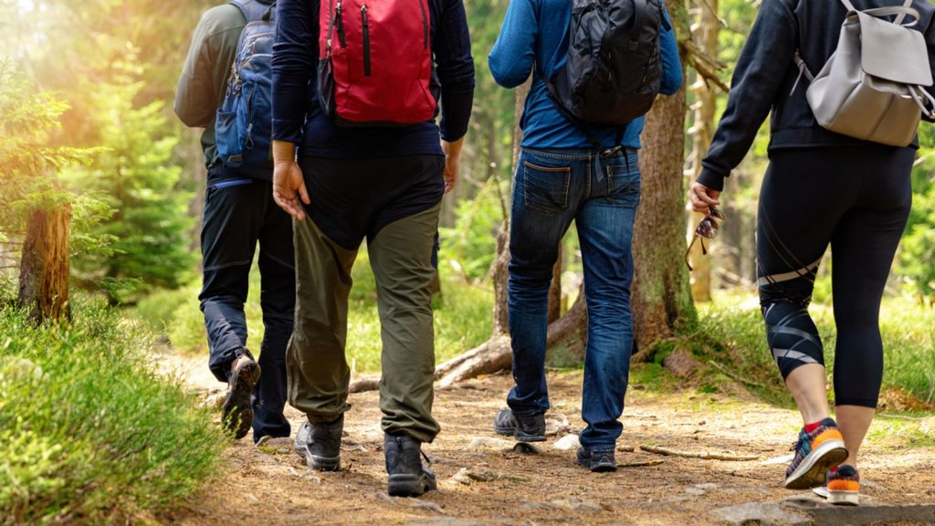 Number of steps a day it takes to cut risk of early death – new study | Science & Tech News