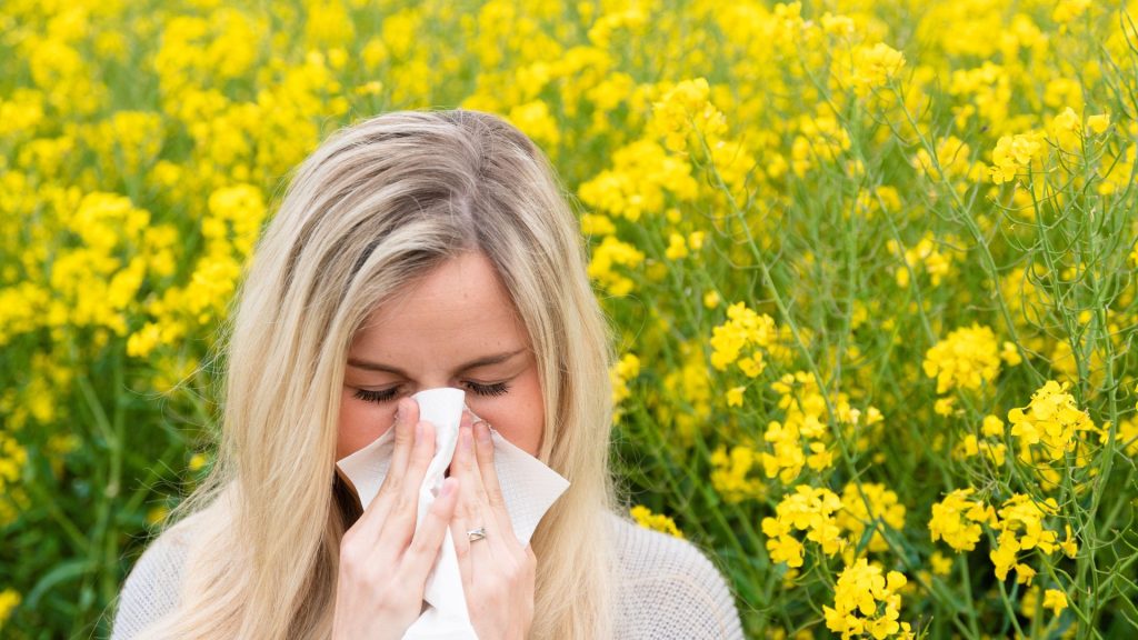 Your ultimate hay fever ‘first aid kit’ – from surprising treatments to best ways to prepare NOW