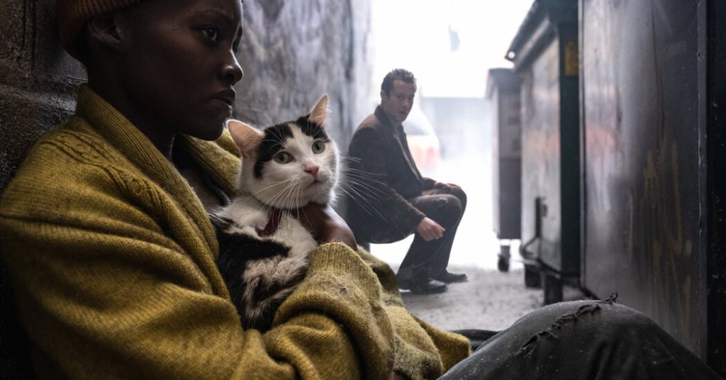 This Service Cat Has a Big Job: The Apocalypse