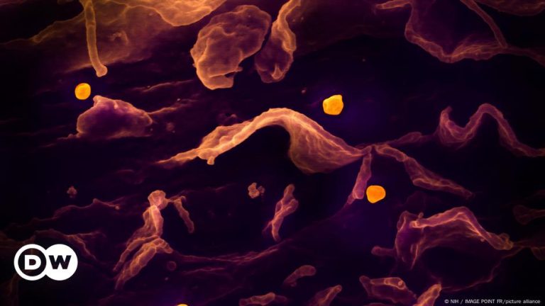 A recurring, deadly threat in India – DW – 07/22/2024