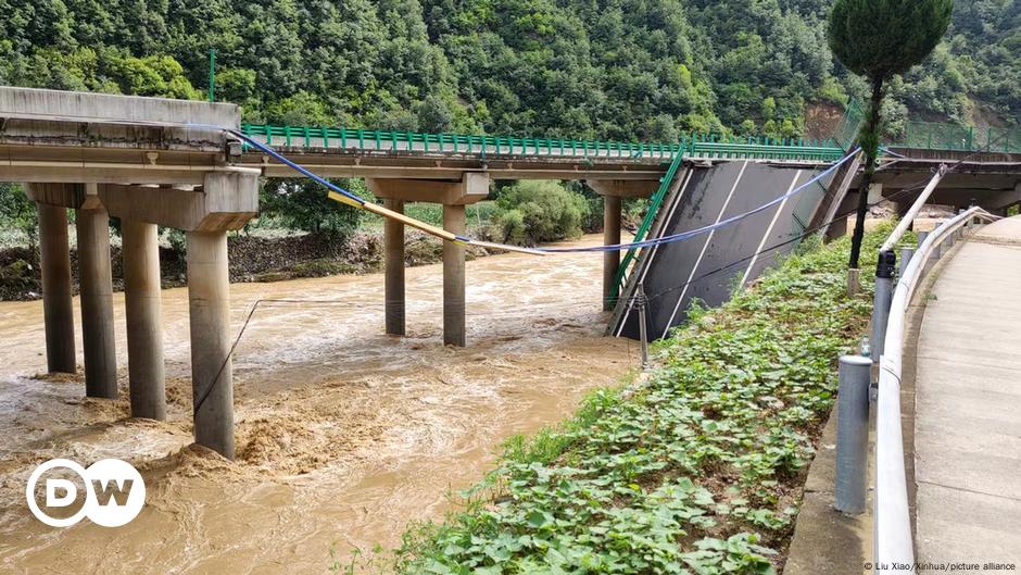 Highway bridge collapses, killing several – DW – 07/20/2024