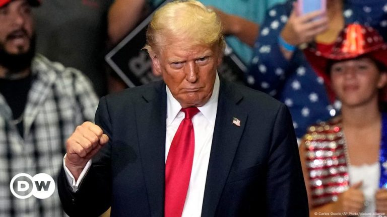 Donald Trump’s vision for the US economy – DW – 07/29/2024