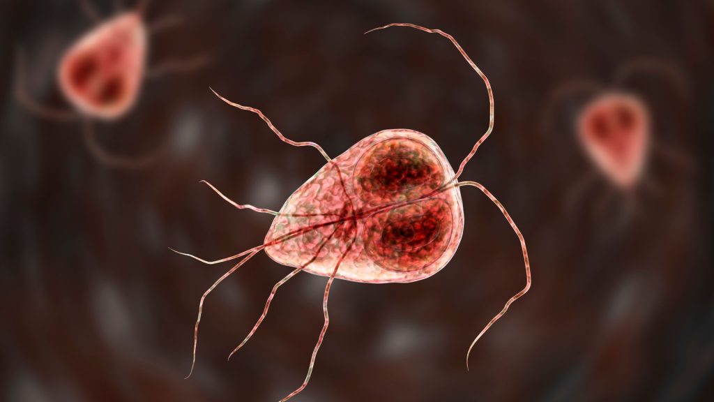 What is giardiasis? The 8 symptoms of parasitic tummy bug parents must look out for after outbreak at primary school