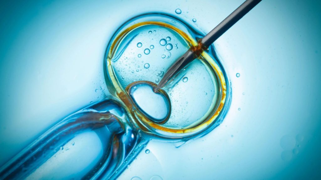 New hope as first-of-its-kind fertility pill OXO-001 could increase the odds of IVF success