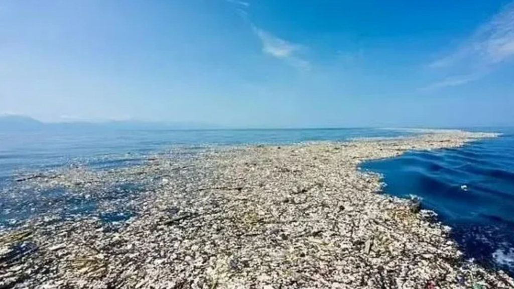 Inside the world’s biggest DUMP with 100,000 tons of rubbish across area six times the size of the UK…in the OCEAN