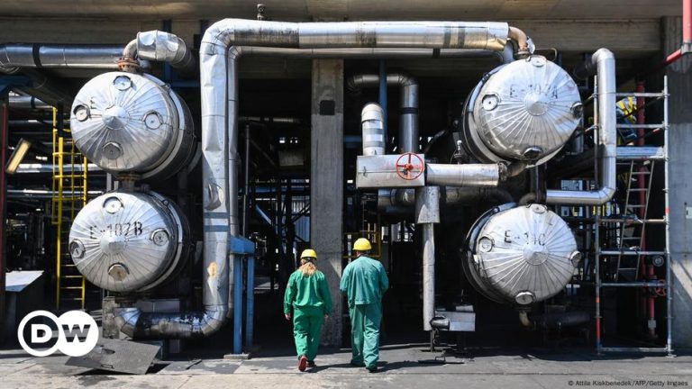 Russian oil still flowing into the EU – DW – 08/01/2024