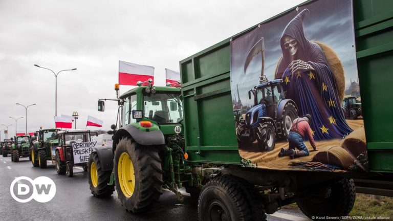 More money needed for carbon transition – DW – 08/12/2024