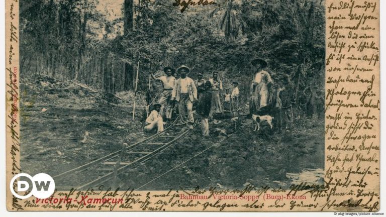 Germany develops new research tool – DW – 08/12/2024