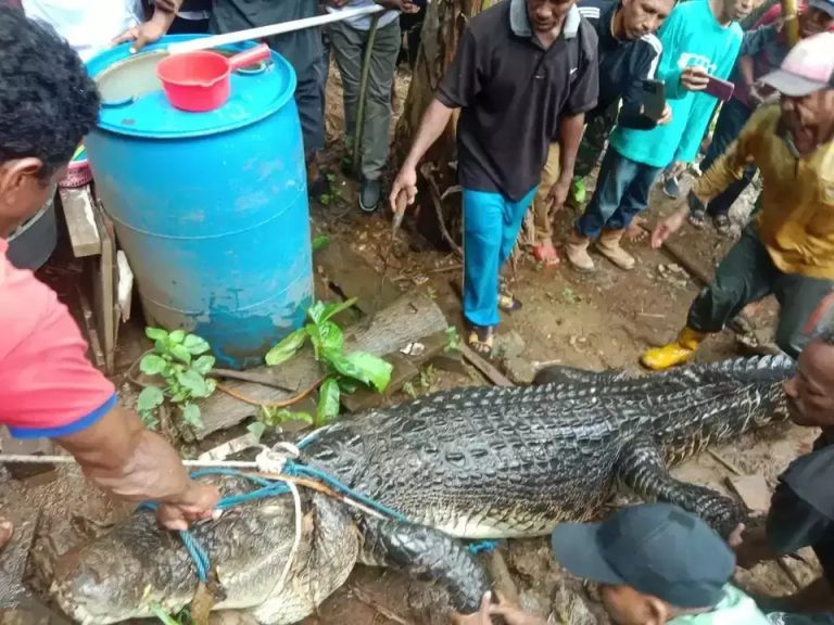 Gran, 54, eaten alive by CROCODILE as horrified locals saw her ‘legs sticking out beast’s mouth’