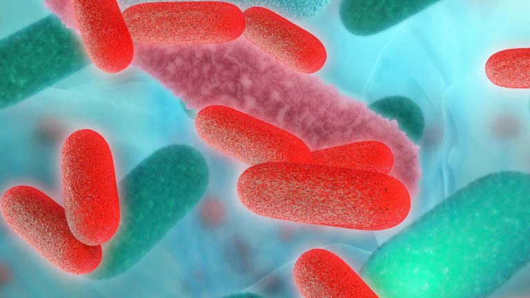 Four dead and dozens hospitalised in outbreak of bug which can be caught from aircon and pools in holiday hotspot