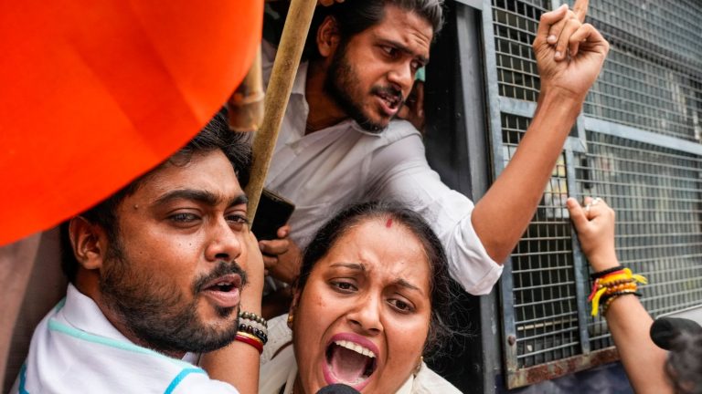 ‘It boils my blood’: Protests over rape and murder of doctor in India result in hundreds of arrests | World News