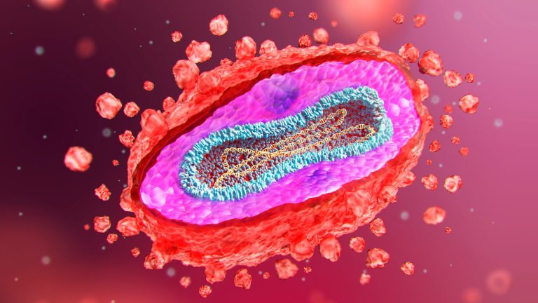 Lethal mpox found in Europe is mutating into new strains in faster than expected, scientists fear