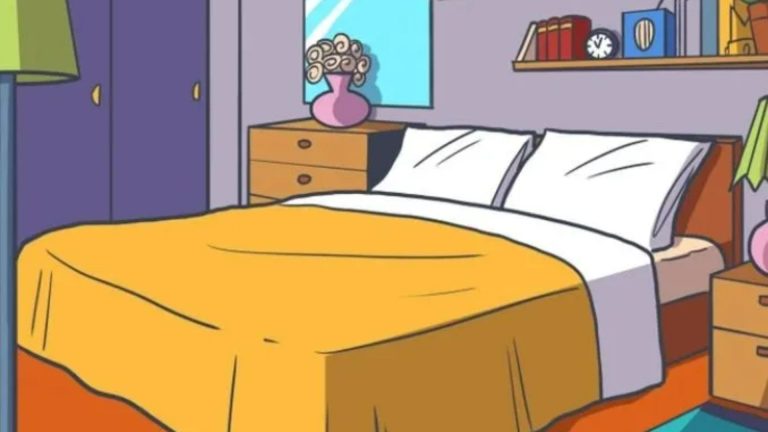 Everyone can see the slippers – but you need high IQ & 20/20 vision to spot the crown in this bedroom in 9 seconds