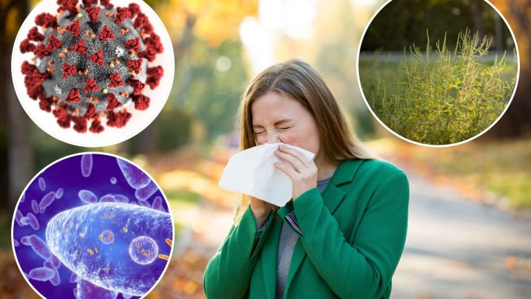 Do you have ‘autumn sneezing syndrome, the new Covid XEC strain or the 100-day-cough? All the symptoms you must know