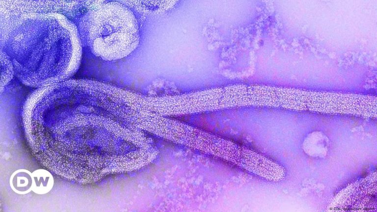 One of the world’s deadliest viruses – DW – 10/04/2024