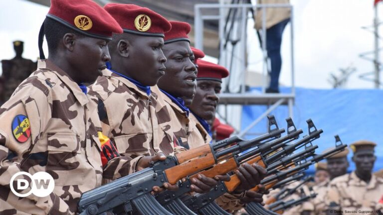 Dozens of soldiers killed near Nigeria border – DW – 10/28/2024