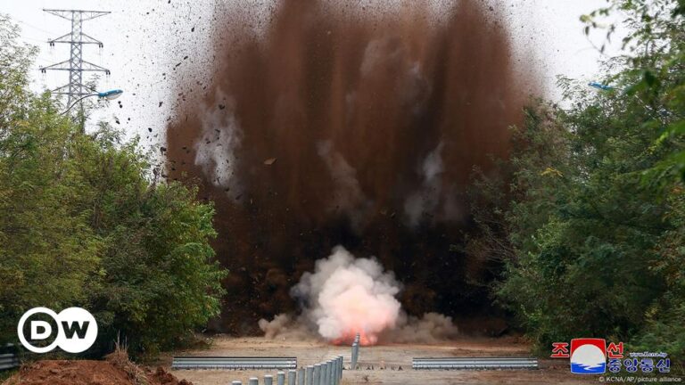 North Korea says it redefined South as ‘hostile state’ – DW – 10/17/2024