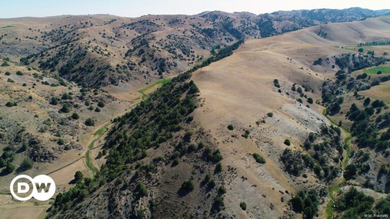 Two lost medieval Silk Road cities mapped in Central Asia – DW – 10/24/2024